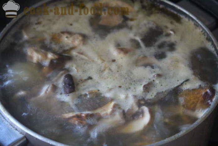 Zakarpattia suppe af hvide svampe - hvordan man laver suppe med hvide svampe velsmagende, med en trin for trin opskrift fotos