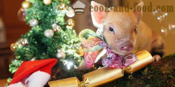 Simple opskrifter til nytår 2019- hvad at lave mad til nytår 2019 Year of the Pig (Boar)