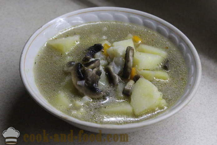 Cremet suppe med svampe og blomkål - hvordan man laver suppe med svampe, en trin for trin opskrift fotos