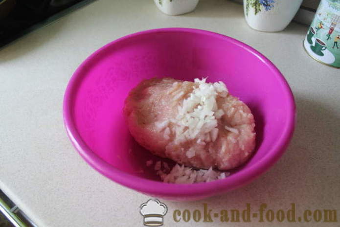 Kæledyr belyashi med hakket kylling - hvordan man laver gær belyashi, trin for trin opskrift fotos