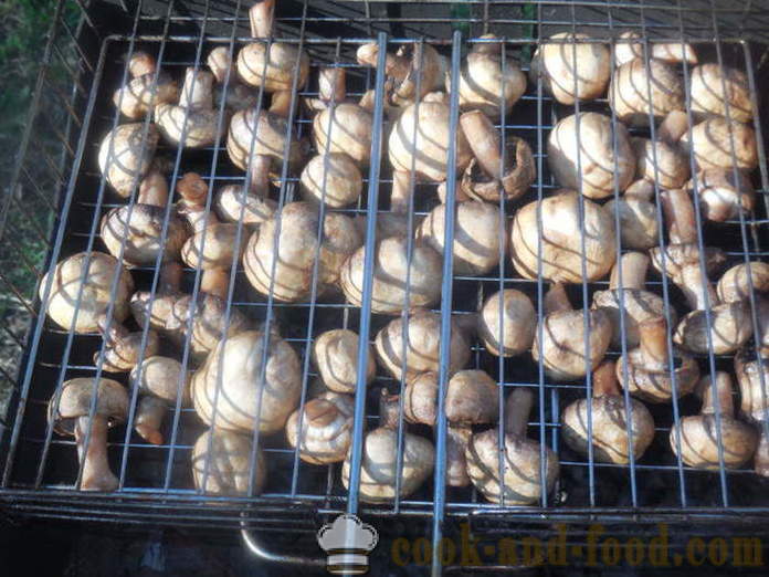 Svampe svampe marineret i sojasauce - hvordan man kan stege svampe på grillen, en trin for trin opskrift fotos