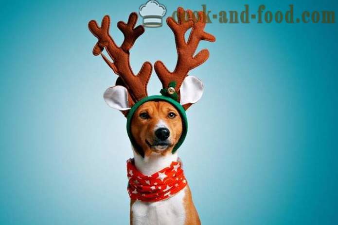 De bedste virtuelle postkort til nytår 2018 - Year of the Dog