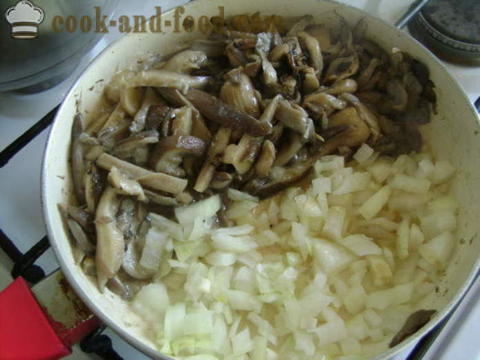 Meatless dovne kål ruller i ovnen - hvordan man laver en lækker dovne kål ruller i ovnen, med en trin for trin opskrift fotos