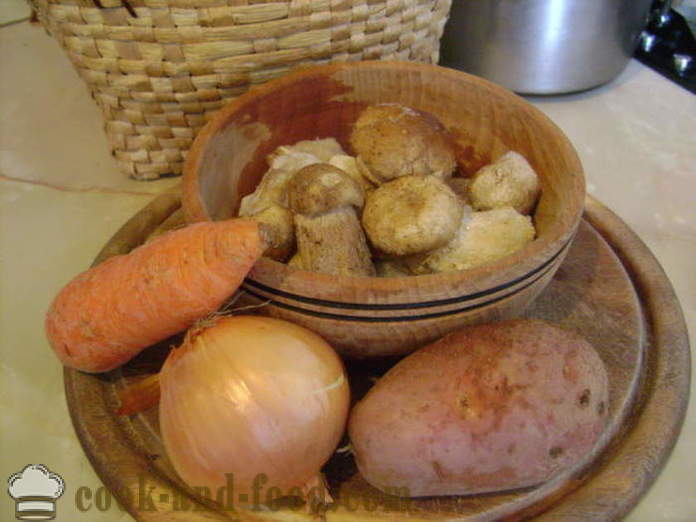 Lækker svampesuppe fra de frosne hvide svampe - hvordan man kan koge suppe fra de frosne hvide svampe, en trin for trin opskrift fotos