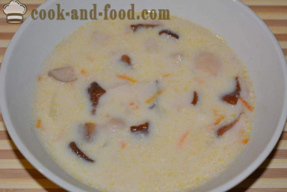 Suppe af hvide friske svampe med flødeost - hvordan man laver champignon suppe med friske svampe og ost, med en trinvis opskrift fotos