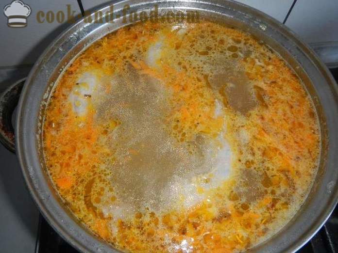 Suppe med dumplings og kylling - hvordan man laver melboller til suppe, en trin for trin opskrift fotos