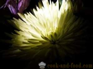 Carving for begyndere grøntsager: Chrysanthemum blomst af kinakål, fotos