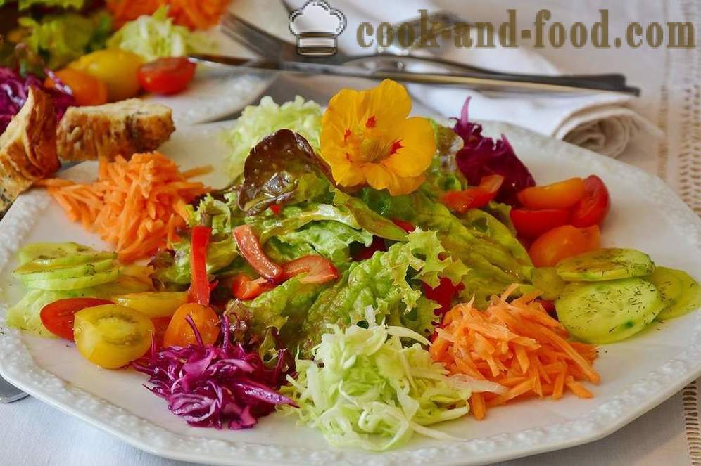 Opskrifter lavt kalorieindhold vegetabilske salat