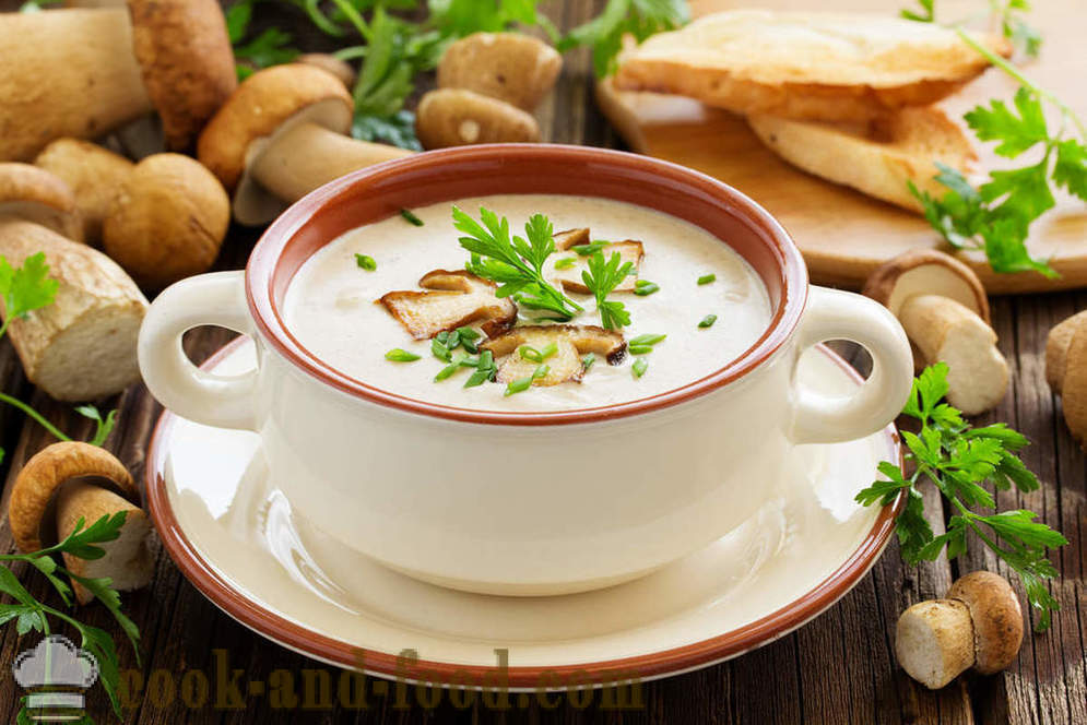 Hvid champignon suppe: to opskrifter på lækre retter