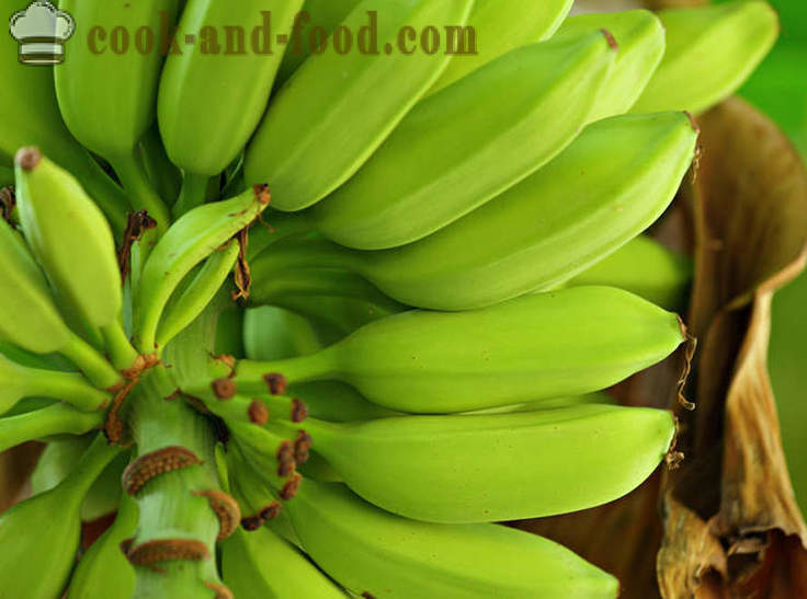 Banana: afrikanske og asiatiske dessert suppe - video opskrifter derhjemme