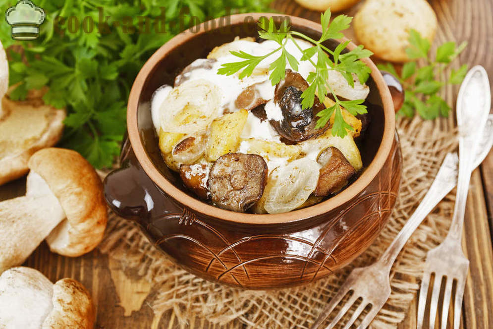 Kartoffel Opskrift med svampe, stuvet i en pot