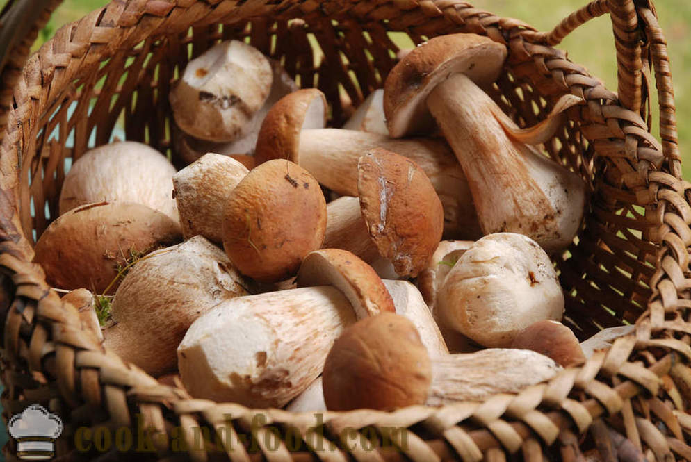 Sæson svampe: 5 opskrifter fra Jamie Olivers magasin - video opskrifter derhjemme